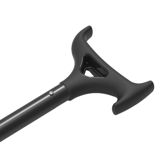 Anchor and Push Pole